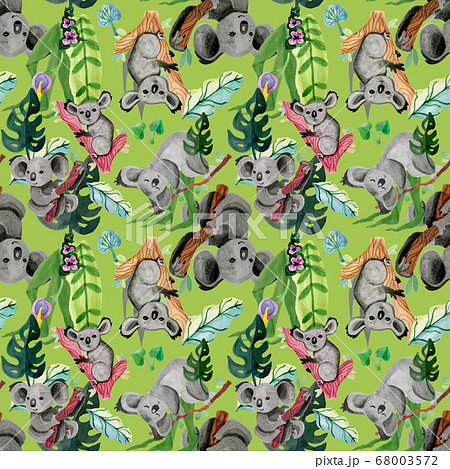 Koalas and tropical leaves green seamless pattern with wildlife animals Koalas and tropical leaves green seamless pattern with wildlife animals 68003572