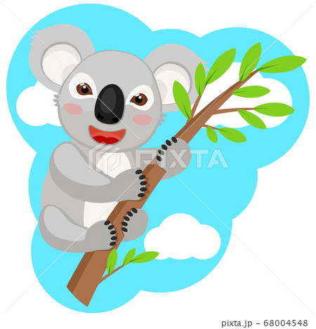 Koala sits on a branch with green leaves Koala sits on a branch with green leaves 68004548