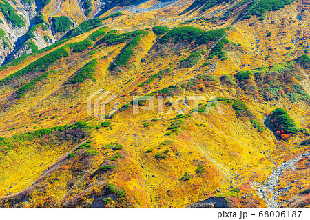 紅葉が綺麗な秋の室堂の絶景 富山県 の写真素材