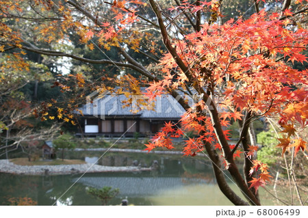 紅葉が極楽浄土へ誘う浄瑠璃寺 68006499