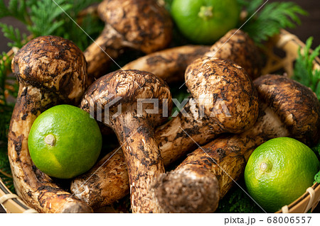 Matsutake mushrooms in a basket - Stock Photo [68006557] - PIXTA