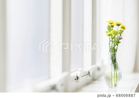 窓辺に置かれた花瓶 窓辺に置かれた花瓶 68006887