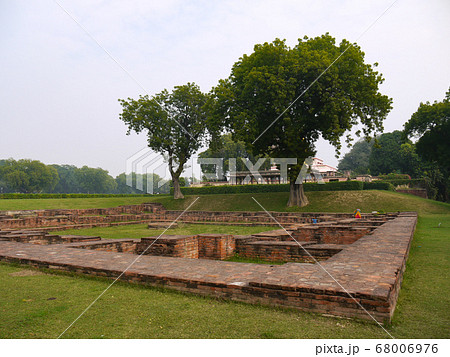 サールナート:ダメーク・ストゥーパ サールナート:ダメーク・ストゥーパ 68006976