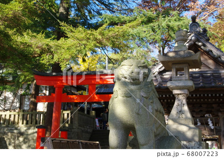 玉前神社の狛犬と鳥居（千葉県長生郡一宮町） 68007223