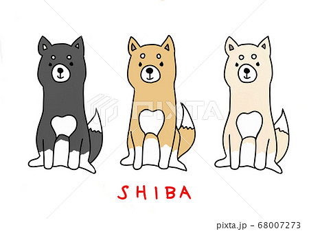 3匹の柴犬のイラスト素材
