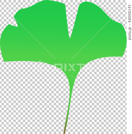 緑の銀杏 イチョウ の葉のイラスト素材1のイラスト素材