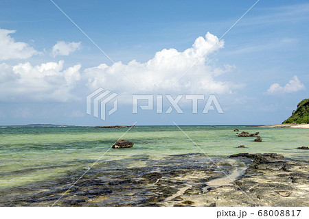 沖縄県　西表島の星の砂海岸 68008817