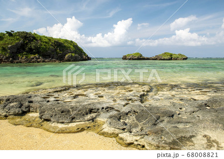 沖縄県　西表島の星の砂海岸 68008821