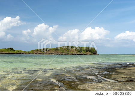 沖縄県 西表島の星の砂海岸 沖縄県 西表島の星の砂海岸 68008830