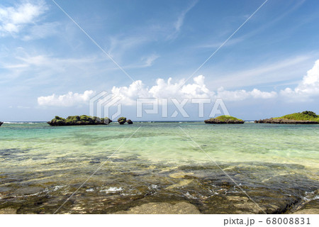 沖縄県　西表島の星の砂海岸 68008831