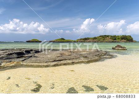 沖縄県　西表島の星の砂海岸 68008833