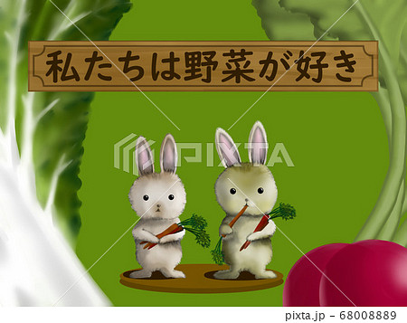 ニンジンを食べるウサギ 野菜の背景 文字 私たちは野菜が好き のイラスト素材 6800