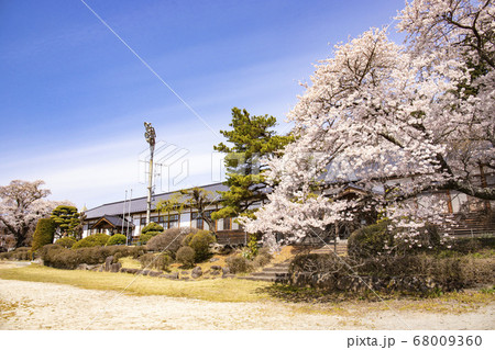 【山梨県北杜市】桜満開の山梨県指定文化財・津金学校・大正校舎 【山梨県北杜市】桜満開の山梨県指定文化財・津金学校・大正校舎 68009360