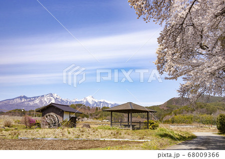 【山梨県北杜市】満開の桜と残雪の八ヶ岳 68009366