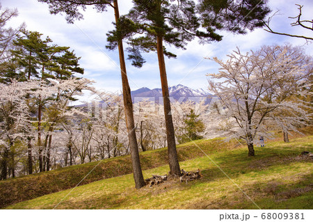 【山梨県北杜市】桜満開の国の史跡・谷戸城趾と八ヶ岳 68009381