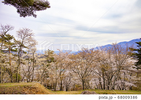 【山梨県北杜市】桜満開の国の史跡・谷戸城趾と富士山 【山梨県北杜市】桜満開の国の史跡・谷戸城趾と富士山 68009386