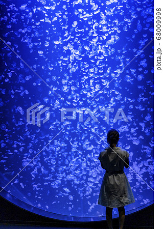 水族館の風景 クラゲの水槽を見つめる女性 シルエット 山形県鶴岡市 水族館の風景 クラゲの水槽を見つめる女性 シルエット 山形県鶴岡市 68009998