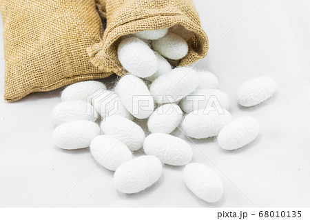White silk cocoon White silk cocoon 68010135