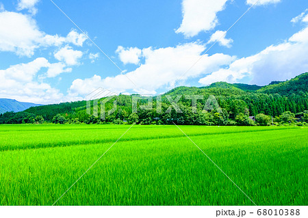 夏の田園風景 68010388