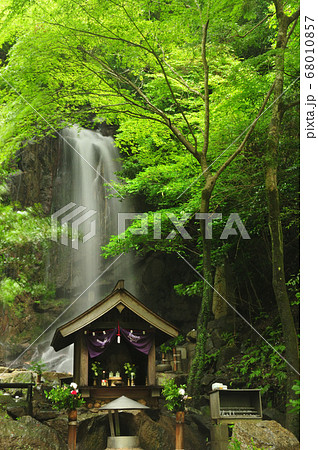 桃尾の滝 68010857