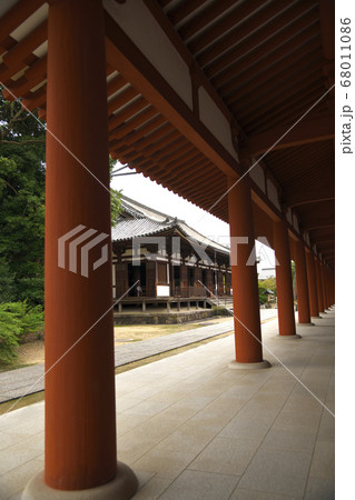 薬師寺 東回廊から東院堂を望む 薬師寺 東回廊から東院堂を望む 68011086