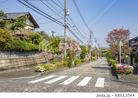 春の住宅街 春の住宅街 68012044
