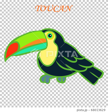 カラフルなオオハシイラストのイラスト素材