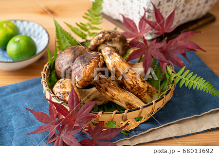 カゴに盛られた松茸 カゴに盛られた松茸 68013692