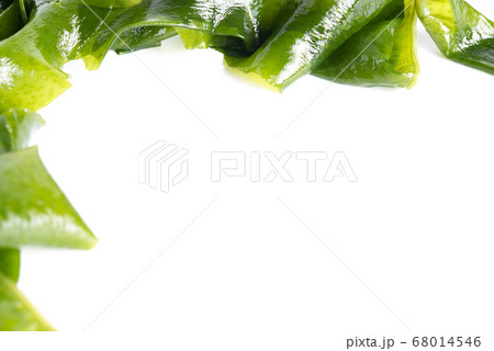 Fresh seaweed wakame isolated on white background with copy space. Japanese food 68014546