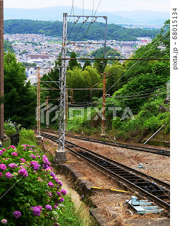 奈良県　生駒市　生駒ケーブル　アジサイと線路（夏、宝山寺駅から） 68015134