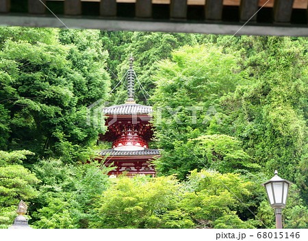 奈良県 生駒市 宝山寺 多宝塔(夏) 奈良県 生駒市 宝山寺 多宝塔(夏) 68015146