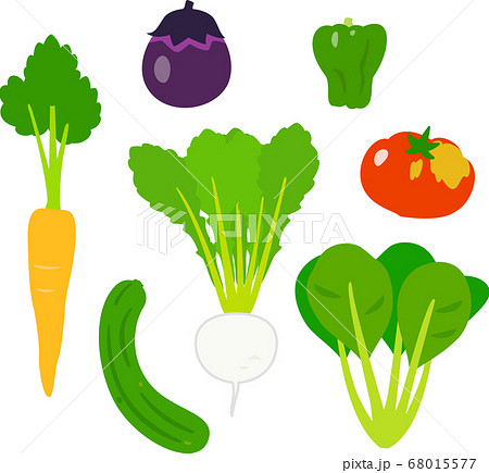 地場野菜 固定種野菜のイラストセットのイラスト素材