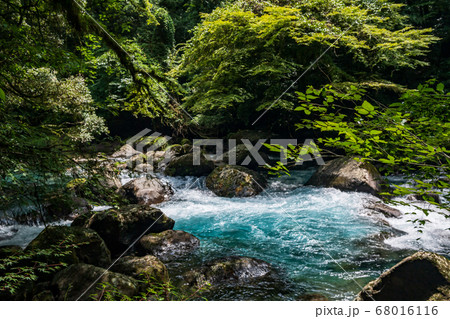 初夏の清流菊池渓谷に流れ落ちる滝の風景 初夏の清流菊池渓谷に流れ落ちる滝の風景 68016116