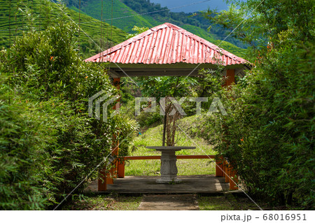 Gazebo in a beautiful place of living green Gazebo in a beautiful place of living green 68016951