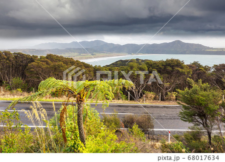 New Zealand coast New Zealand coast 68017634