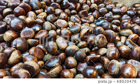 Fresh ripe chesnuts on the sack napkin for Christmas and autumn season Fresh ripe chesnuts on the sack napkin for Christmas and autumn season 68020476