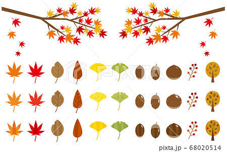 秋のアイコンセット 枝の紅葉 イチョウ 葉 ドングリ 栗 木の実 木 のイラスト素材