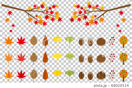 Autumn icon set (autumn leaves, ginkgo, leaves, acorns, chestnuts, nuts, trees) 68020514