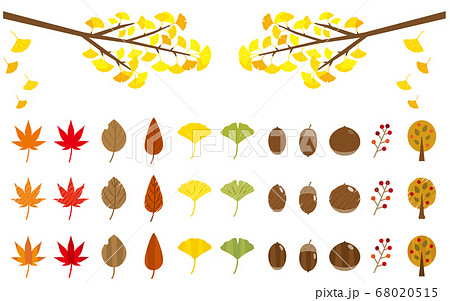 秋のアイコンセット 枝のイチョウ 紅葉 葉 ドングリ 栗 木の実 木 のイラスト素材