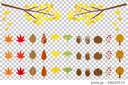 Autumn icon set (branch ginkgo, autumn leaves, leaves, acorns, chestnuts, nuts, trees) Autumn icon set (branch ginkgo, autumn leaves, leaves, acorns, chestnuts, nuts, trees) 68020515