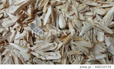 Empty shells of sunflower seeds trash closeup background Empty shells of sunflower seeds trash closeup background 68020539