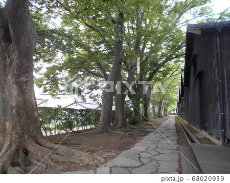 山居倉庫その2 68020939