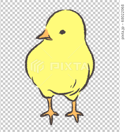 横を向いているひよこのイラストのイラスト素材