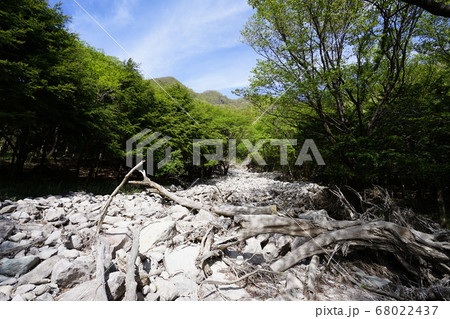 群馬県赤城山 鍋割山の山頂から前不動を通る登山道で登山口付近の台風19号による爪痕 群馬県赤城山 鍋割山の山頂から前不動を通る登山道で登山口付近の台風19号による爪痕 68022437