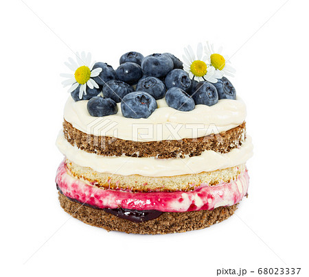 Cheesecake with fresh blueberries  68023337