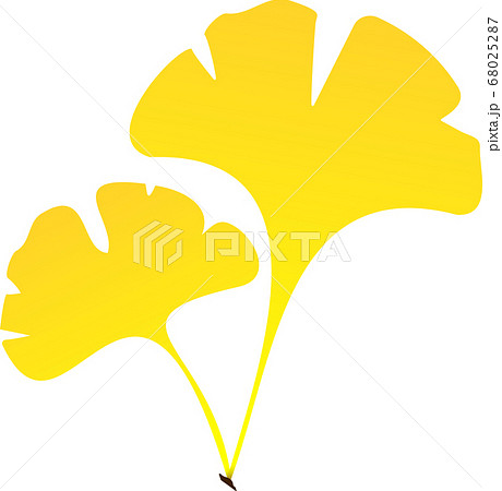 黄色の銀杏 イチョウ の葉のイラスト素材 7のイラスト素材