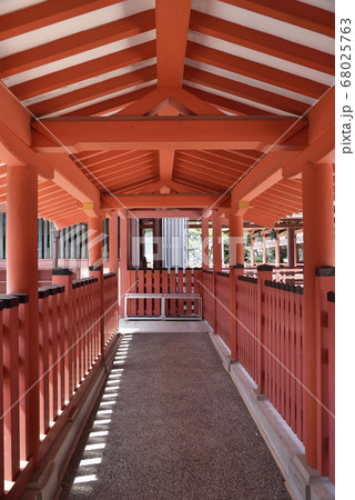津島神社　境内 68025763