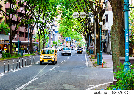 福岡市中央区赤坂二丁目付近 天神方面 けやき通り 国体道路沿い の写真素材