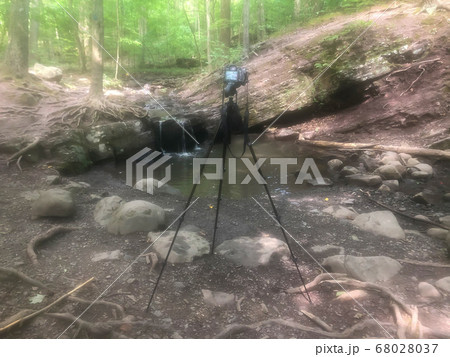 Camera on tripod in idyllic forest 68028037
