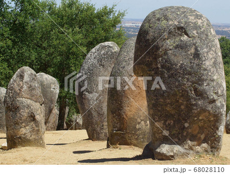 Standing stone megaliths in rows at neolithic site, casting shadows with copy space. 68028110
